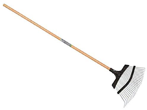 Verdemax 3952 - Rastrello a 25 Denti con Manico, Colore: Marrone