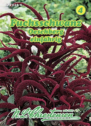 N.L. Chrestensen 512166 Fuchsschwanz Oeschberg (Fuchsschwanzsamen)