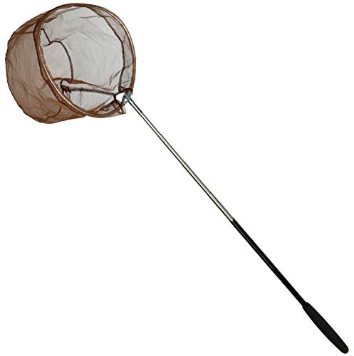 RESTCLOUD Bait Net and Fishing Landing Net with Telescoping Pole Handle Extends to 59 inches (Brown)