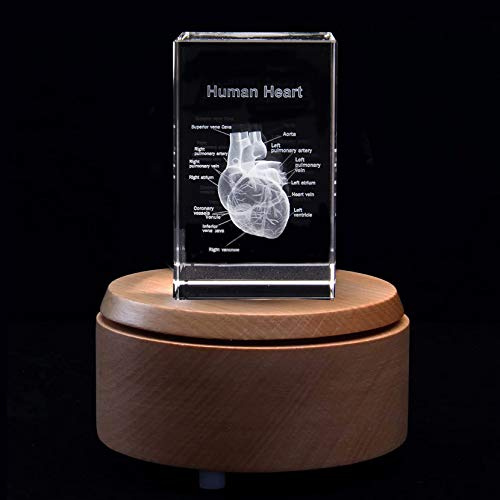 3D-Briefbeschwerer, menschliches Herz mit Etiketten, anatomisches Modell, Lasergravur, in Kristallglas, Würfel, Geschenk (inklusive LED-Basis)