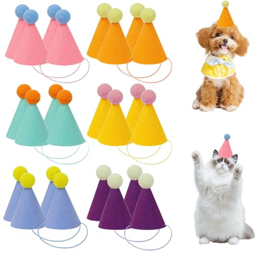 Mini Partyhüte in sanften Farben, Geburtstagsmützen für Hunde, Katzen