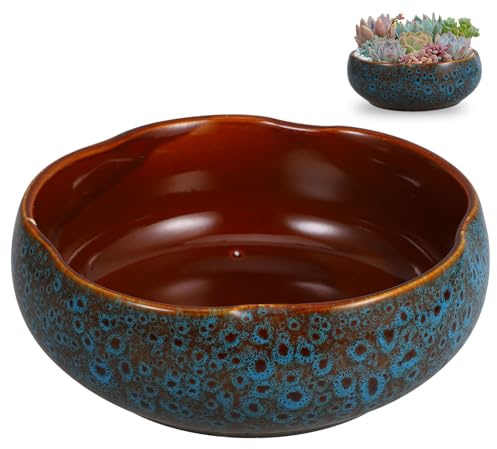 Homoyoyo Maceta Hidropónica de Cerámica para Bonsáis y Loto Macetero Grande para Cultivo de Plantas de Interior Decoración para Balcón y Exteriores