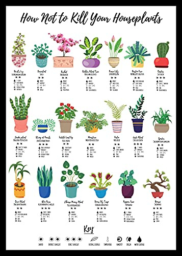 Houseplant Care Guide Poster — Wall Art Print for Plant Lovers | 20 Popular Indoor Plants with Watering, Light & Feeding Tips | A4 Unframed Print, 300gsm Recycled Card | Gift for Plant Mum, Gardener