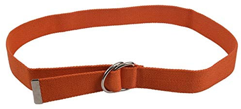 Nicfaky Lässiger Unisex-Gürtel mit D-Ring, Stoffgürtel, Segeltuch, Strickgürtel, 110 x 3,8 cm, Orange, Orange, One size