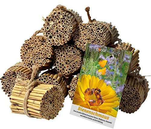 dobar® 22690e Schilfrohrhalme-Set 1.000 STK - Insektenhotel Bastelset - Schilfrohhalme für Wildbienenhotels - Wildbienennisthilfe aus Schilfhalmen inkl. Wildblumensamen - 9cm