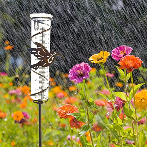Zankie Regenmesser aus Glas für den Außenbereich, dekorativer -Metallrahmen, Kolibri-Regenmesser mit Pfahl Regenmesserrohr für Deck, Hof, Zaun, Garten, 7 Zoll