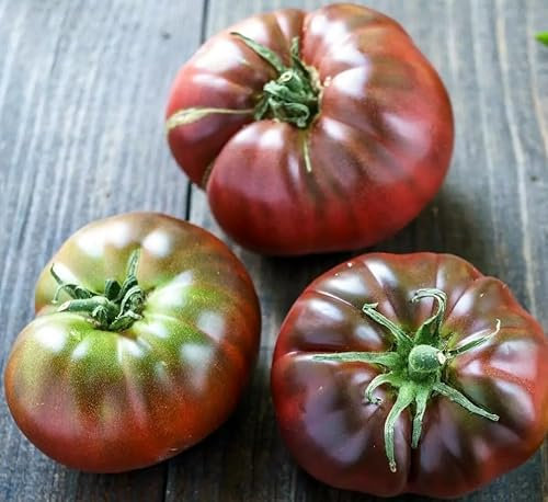 1 Pack of 15 SEEEDS Black Brandywine Tomato