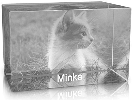 VIP-LASER 2D Gravur Glas Kristall Quader im Querformat L mit dem Foto von Deiner Katze. Dein Wunschfoto für die Ewigkeit Mitten in Glas! Groesse L = 60x40x40mm