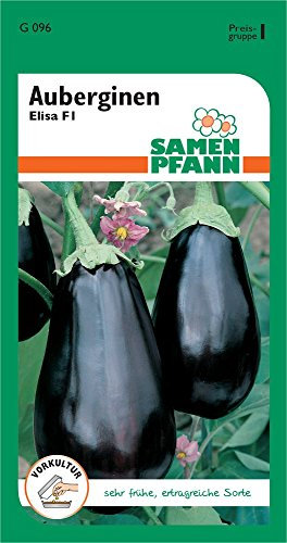 Samen Pfann G096 Aubergine Elisa (Auberginensamen)