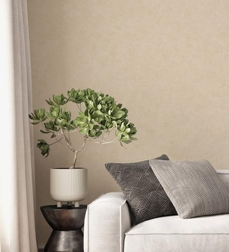GAULAN 500683445 Papier peint uni à texture argileuse et finition naturelle en beige pour mur salon cuisine bain chambre stanza salle à mange tête de - Échantillon DIN A4