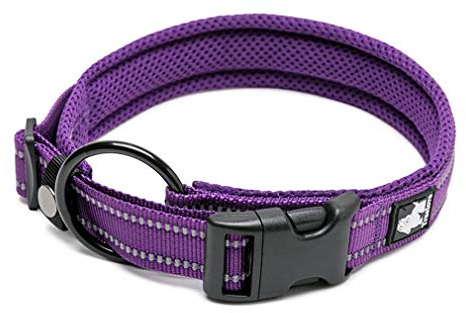 WINHYEPET True Love hundhalsband reflekterande smörgåsfoder nylonband bekvämt och säkert justerbart spänne bekvämt att använda för promenader för Samll/Medium/Stor halsring TLC5011 (lila, XS)