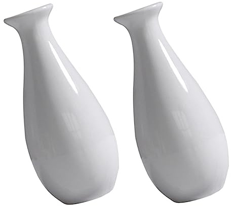 Cabilock 2piezas Mini Jarrón De Jarrón Sencillo y Moderno Decoración Hogar para Mesa De Encimera