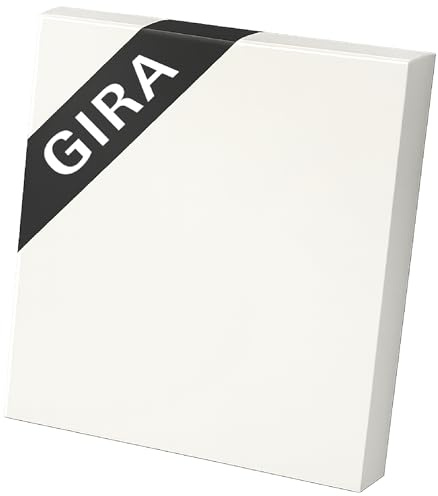 GIRA 329603 Wippe Reinweiß glänzend | hochwertige Schalterwippe | schwimmende Lagerung | harmonisches Spaltmaß | moderne Optik | kompatibel mit GIRA Schaltern | Profi Elektroinstallation
