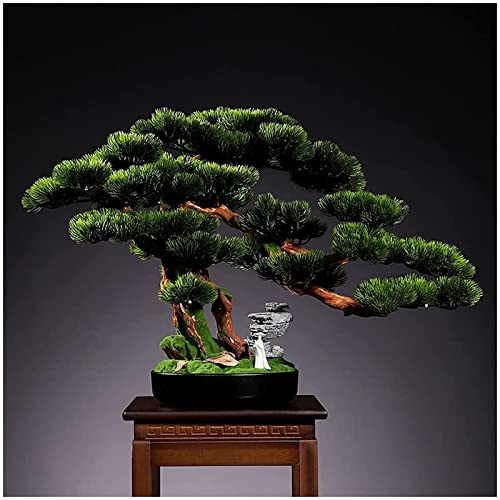 WYRMB Bonsaï Artificiel Ornements De Bureau Simulation Bienvenue Pin Bonsaï Salon Bureau Plantes Vertes Porche en Pot Plante Artificielle Thuya Ornements Décor De Bureau Arbre Artificiel (C)