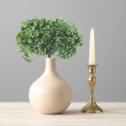 Vrai Hortensia stabilisé éternel Vert - Bouquet de Fleurs séchée Naturelle préservée - Bouquet XL composé d'une ou 2 tiges Grand Format (Vert)