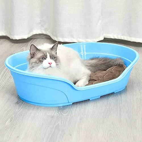 PRUJOY Hundebadewanne, Katzenhaustierbadewanne, Haustierbadeeimer, Badeeimer für kleine und mittelgroße Hunde, spezielle Matte Nicht im Lieferumfang enthalten (57 * 38 * 14cm)