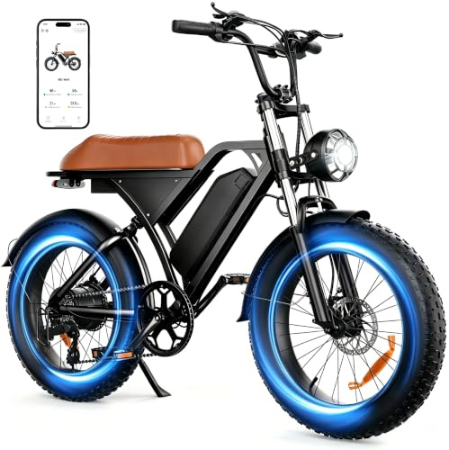 Finbike Electric Bikes for Adults, 250W Electric Dirt Bike, Max 120KM Range | 48V 18.2Ah Battery | 20 x4.0 All-Terrain Fat Tire | 80N·m Torque | APP Control | Full Suspension | LCD Display+USB