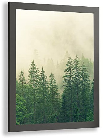Monaldo Deluxe Bilderrahmen Posterrahmen 90 x 30 cm Farbe Graphit Wechselrahmen weisser Hintergrund Antireflex Kunstglas
