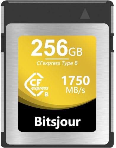 Bitsjour CFexpress Type B 256 Go, Vidéo et Photo RAW 8K 4K Fluides, CF Express Carte Mémoire pour Appareils Photo Canon Nikon FUJIFILM Panasonic et Caméscope