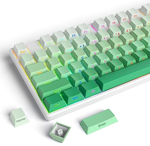 Owpkeenthy Seitlich-Bedruckte PBT Gradient-Tastenkappen, Double-Shot Cherry-Profil, 135 Tasten Durchleuchtet, Grün, für 60-65% 75%100% MX-Schalter South-Facing Mechanische Tastatur (Bedew)
