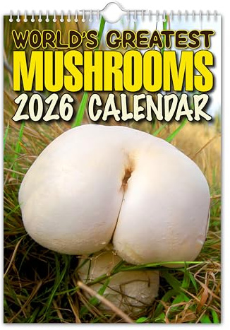 The Calendar King // World's Greatest Mushrooms - Wandkalender 2026 - lustig/schrullig/Weihnachten/Geburtstag/Geschenkidee/Geschenk/Neuheit/Humor/Wichteln/Jahresplaner (Vollfarbig, A4-Größe)