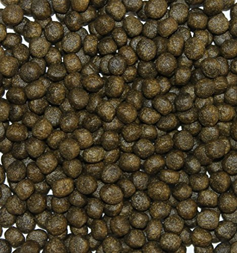 Wohnkult TOP Premium Koifutter mit Spirulina in 3 mm und 6 mm 5 Liter und 10 Liter oder als Mix Teich Koi Goldfisch Stör (6 mm / 5 Liter)