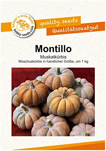 Kürbissamen Montillo Portion