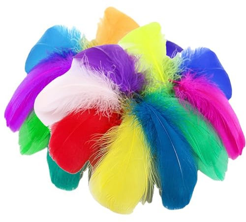 300 Stück Bunte Federn zum Basteln Federn, Bastelfedern Basteln, Natürliche Feder Gänsefedern Deko für DIY Handwerk Home Hochzeit Party Dekorations Feder Handwerk, 6-12cm, in 25 Gemischte Farben