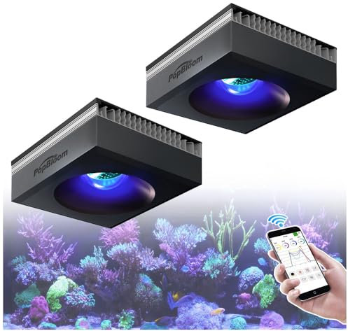 PopBloom RL90 WiFi Volles Spektrum Meerwasser Led Aquarium Beleuchtung, Aquarium Lampe App Kontrolle für Salzwasser Riff Aquarium 80-120cm Korallenriff SPS/LPS Marine (2 Lampe mit Aufhängung)
