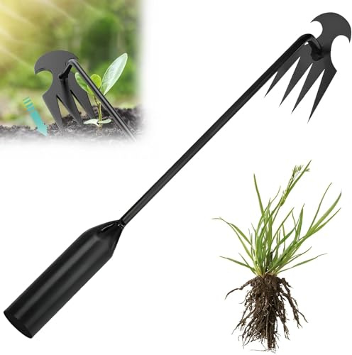 CHONGQILAO Strumento per Rimuovere Le Erbacce, Estirpatore Erbacce Manuale, Strumento per Diserbo per Giardino, Sarchiatore in Acciaio Inox, Rastrello per Diserbo per Giardino, Cortile, Prato, Patio
