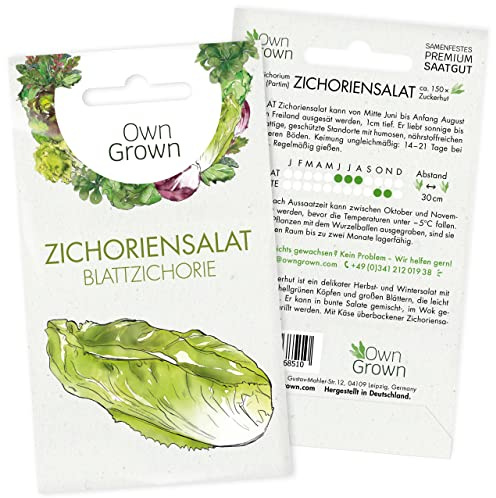 Zichorien Samen: Zichoriensalat Saatgut zum Anbau von 150 Salat Pflanzen – Salatsamen, Wintergemüse-Samen, Gemüse, Gemüsesamen – OwnGrown Saatgut, chilli geschenkset
