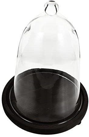 EXCEART 1set Eternal Flower Glass Dome Cover Elegant Decorative Display for Landscape Dried Flowers and Items for Shelves and Tabletops Fine Workmanship Glass Design