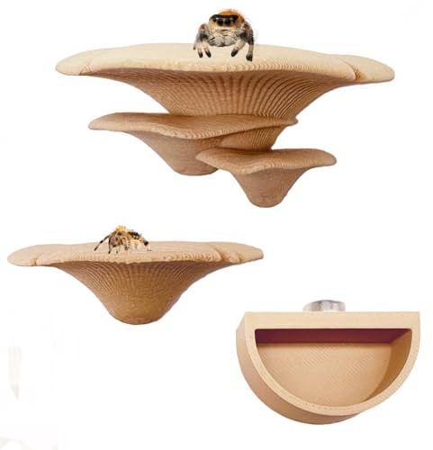 2 Pack Jumping Spider Accessories Mushroom Ledges & 1 Pack Water Bowl with Magnets for Spoods Jumping Spiders Magnetic Ledge Ladder Pet Spider Accessories (Not Included The Terrarium) (beige)