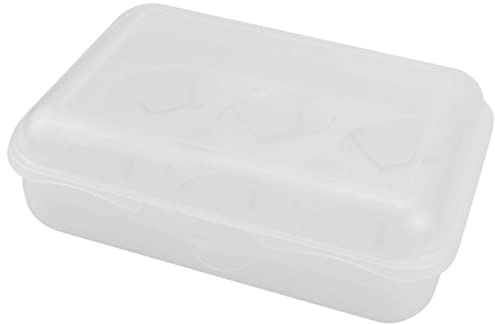 DIYEAH Boîte à Œufs Transparent à Compartiments Support à Œufs Portable Pour Maison Et Pique- Conteneur De Rangement Réutilisable