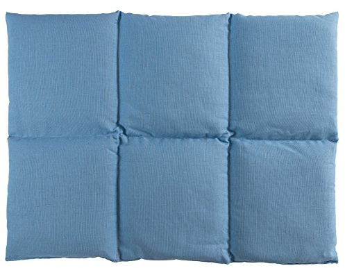 Coussin aux graines de groseille 40x30 - Coussin chauffant pour le dos - Bouillotte sèche - Compresse chaude ou froide (6 compartiments; Design: bleu ciel)