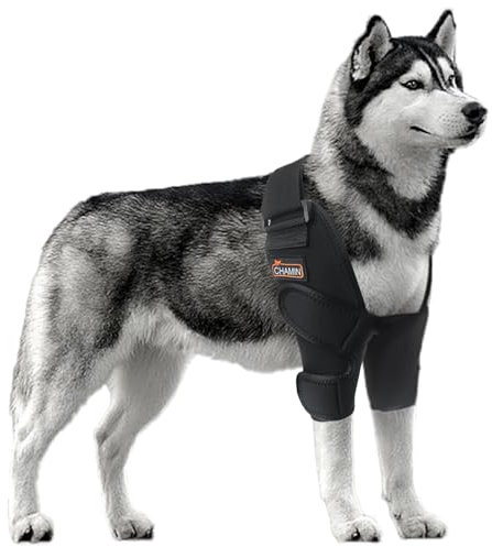 CHAMIN Ellenbogenbandage für Hunde zur Ellenbogenunterstützung und -schutz, Schutzpolster, Hygroma, Ellenbogenschoner für Hunde, Dysplasie, Schwielen, Ellenbogen-Wundheilung usw. (beide Beine, XL)