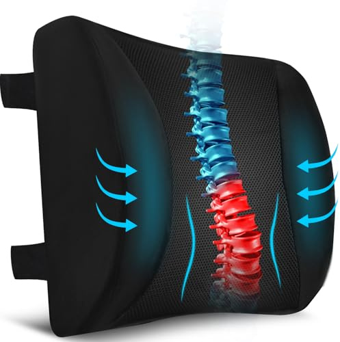 Niceeday Lumbar Support Pillow for Office Chair Car, Gaming Chair Lower Back Pain Relief Memory Foam Cushion with 3D Mesh Cover Ergonomic Orthopedic Back Rest Lower Back Support