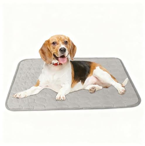 LOMUG Hundekäfigmatratze, Hundekissen Waschbar Hundebett Weiche Zwingerunterlagen Haustierbettdecke Haustier Sofakissen Hundekäfigmatte Hundedecke Hundebettmatten für Hunde & Katzen Größe XL 100x70 cm