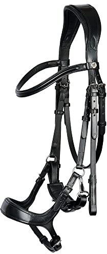 Harry's Horse