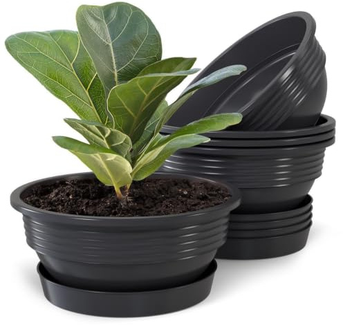 Plastard 5er Set Pflanzenschalen Ø 40 cm mit Untersetzer rund – Anthrazit | Witterungs-, UV- & frostbeständig, inkl. 30 cm Untersetzer, ideal für Garten, Balkon & Innenbereiche, Deko Blumenschale