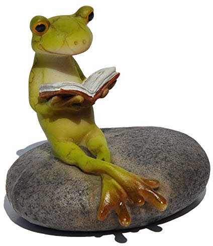 Top Collection - Figura de rana en miniatura para jardín de hadas y terrario
