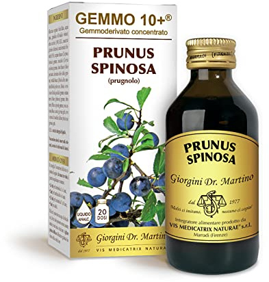 Prugnolo 100ml Analco Gem 10+