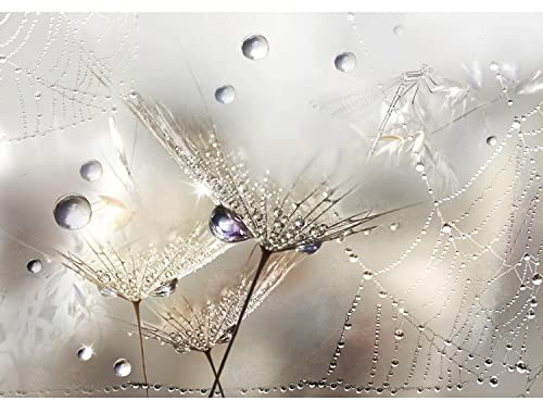 Runa Art Fototapete Blumen Pusteblume 352 x 250 cm Vlies Tapeten XXL Moderne Wandtapete Wohnzimmer Schlafzimmer Beige 9557011a