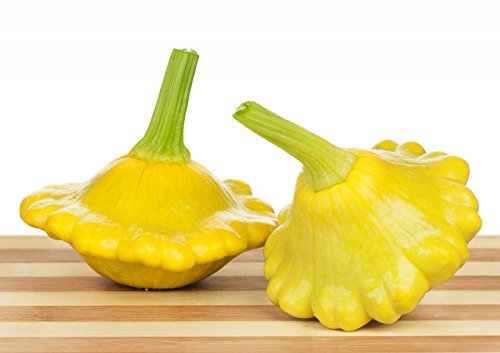Giallo UFO Zucchina Gialli Squash - 20 Seme