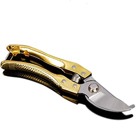 Candeon Forbici Potatura Da Giardinaggio, 8/ 200mm Forbici Cesoie per Potatura Forbici Da Giardinaggio Forbici Da Potatura per La Potatura Da Taglio Di Cespugli Di Rose, Arbusti, Siepi E Bonsai