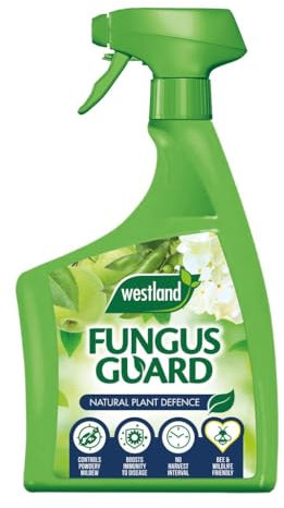 Westland Fungus Guard Non-Toxic Ready-to-Use Fungicide Spray for Effective Control of Fungal Diseases on Plants, Flowers, Fruits, Vegetables & Shrubs, Safe for Bees- 800ml