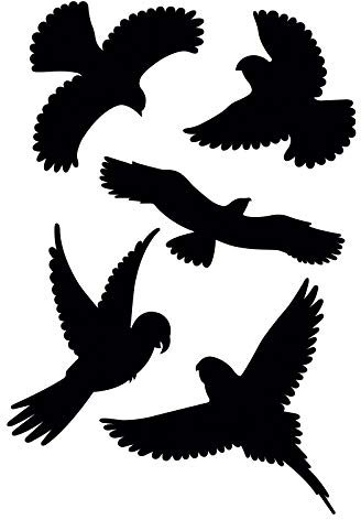 GARDIGO® Vogelschutz Aufkleber - 5 Stück I Fensterfolie zur Vogelabwehr I Schwarz | Aufkleber für Fenster, Türen, Wintergärten I Fensterschutz vor Vogelschlag | Fensterbilder selbstklebend