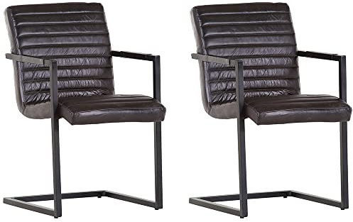 Lomadox Freischwinger Stuhl 2er-Set Echtleder in anthrazit Metallgestell schwarz lackiert, mit Armlehnen, B/H/T: ca. 52/87/64 cm