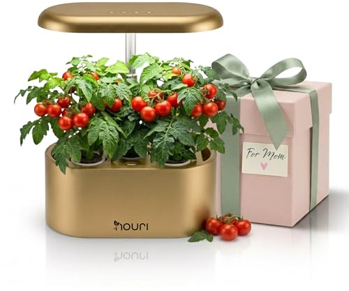 Nouri 5-Pod Smart Garden mit App | mit Basilikum Alter Sorten | Hydroponic System | Smart Garden für Indoor Garten & Indoor Kräutergarten | LED-Pflanzenlampe | Einfache Bedienung