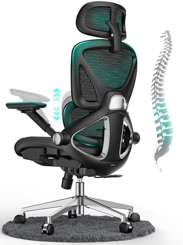 CAPOT Ergonomic Mesh Office Chair, Adjustable Lumbar High Back Desk Chair 400lbs,